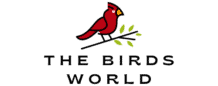 TheBirdsWorld