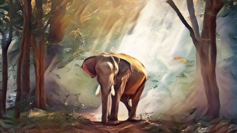 Elephant Symbolism And Meaning