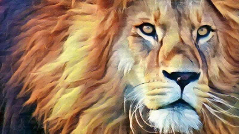Lion Symbolism and Meaning