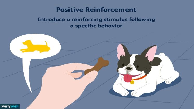 Positive Reinforcement and Negative Reinforcement